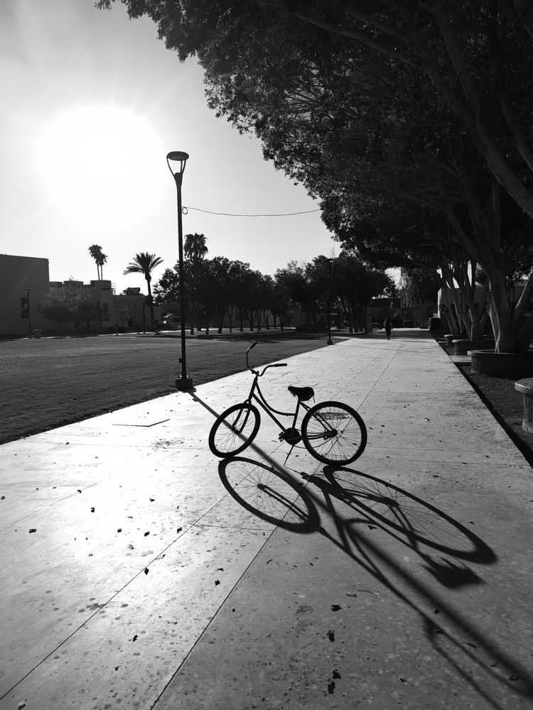 Photograph by Ivan Avitia