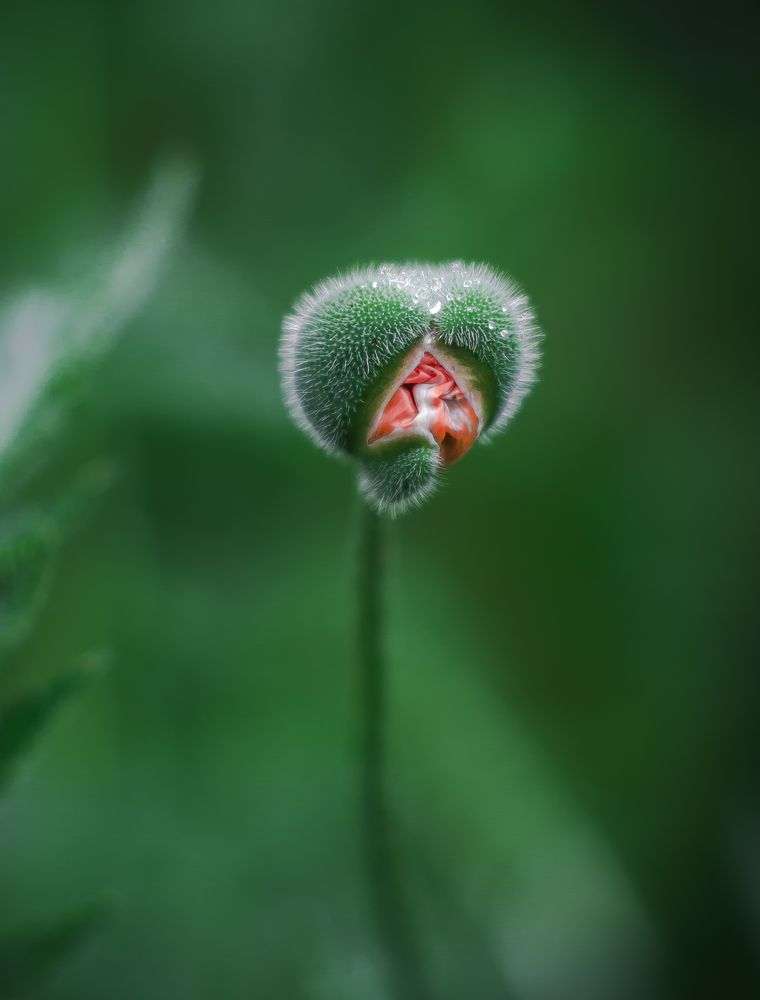 Photograph by Ekaterina Fadeeva