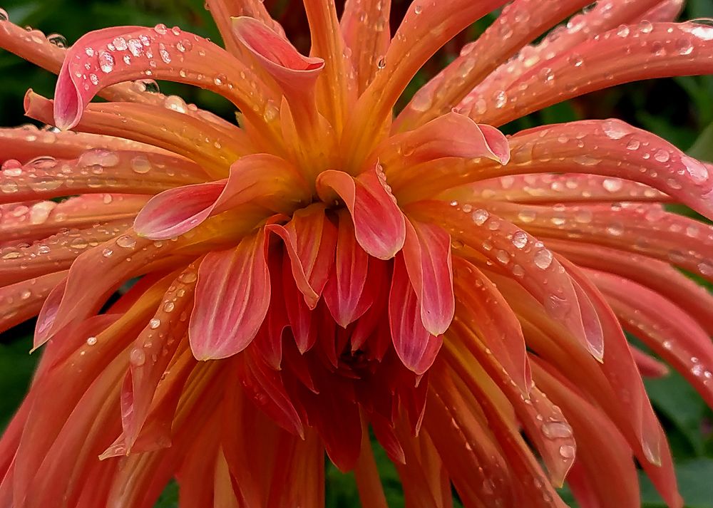 Photograph by Зоя Быкова