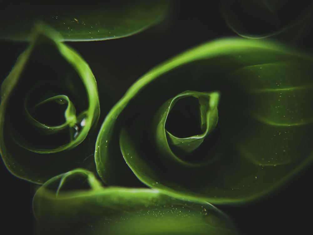 Photograph by Ekaterina Fadeeva