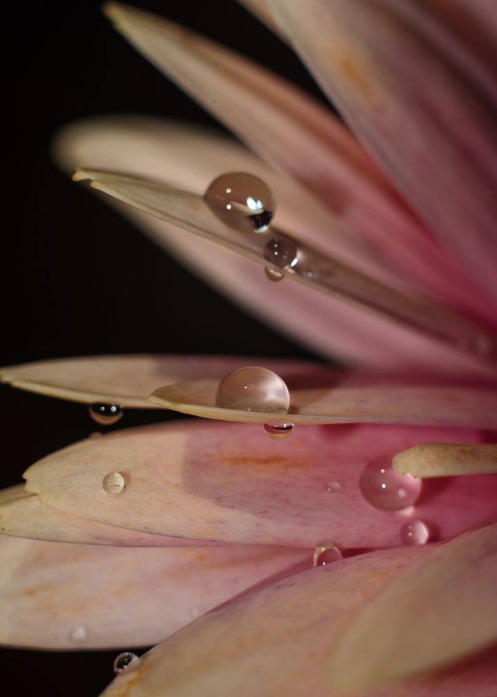 Photograph by Александр Соколович