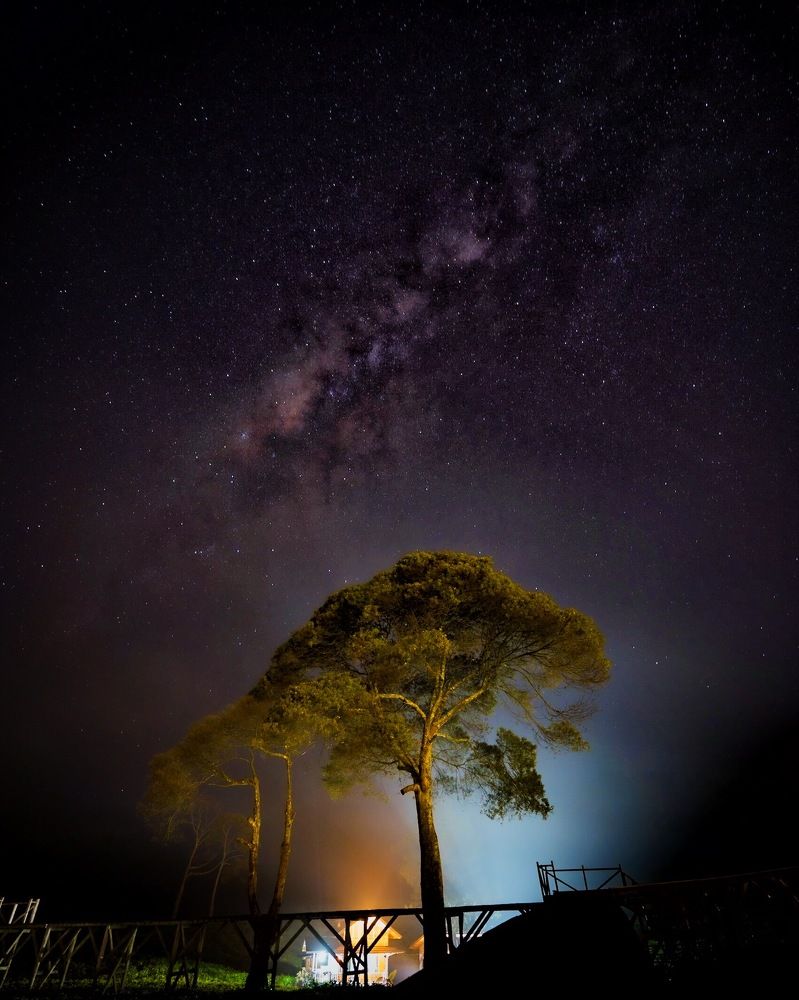 Photograph by mas julianto