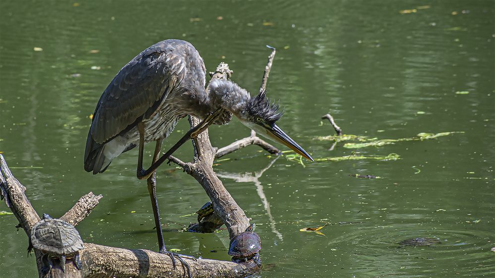 Photograph by Гришанов Пётр