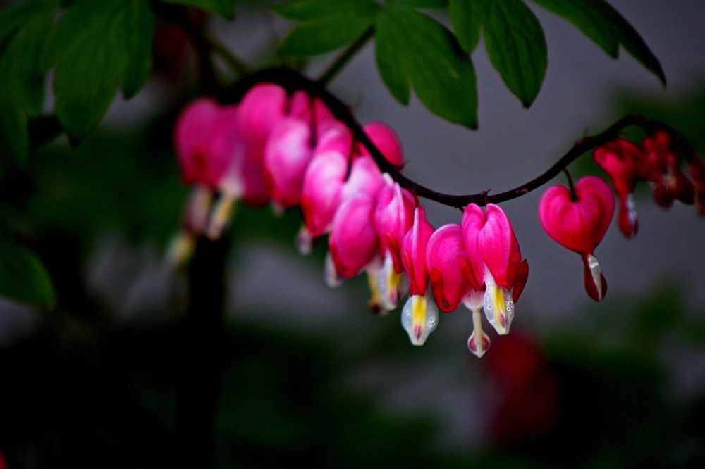 Фотография автора фотокружок "Мир в объективе" ГПОУ "ПСТ"