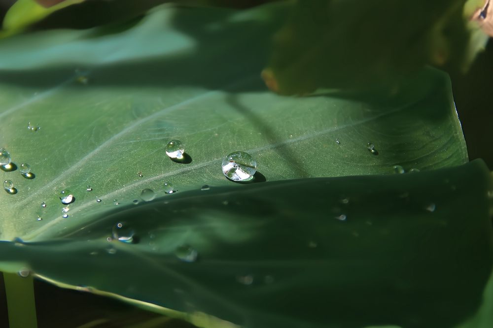 Фотография автора Jeff Cooley