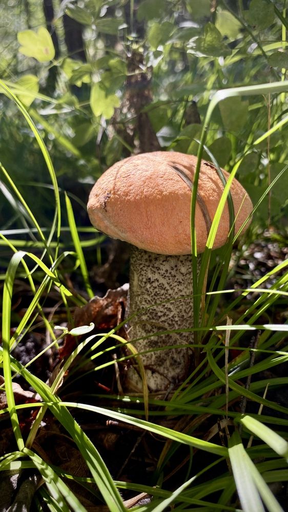 Photograph by Антонина Кузнецова