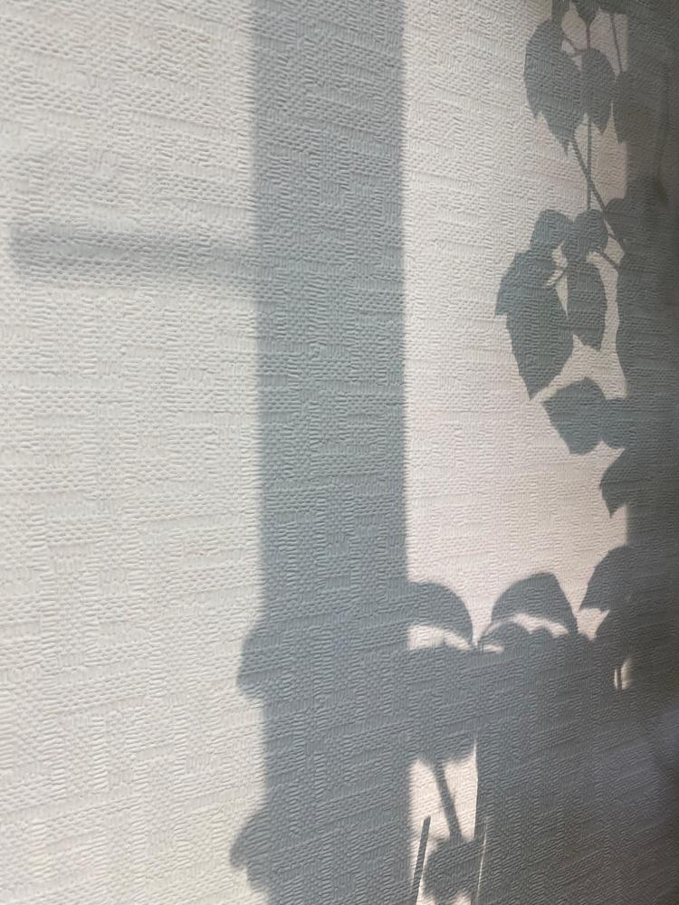 Photograph by Наталья Проскурякова