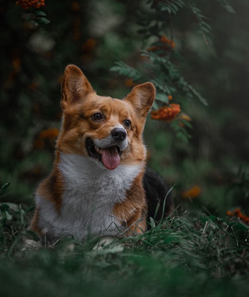 Фотография автора Карина Сагитова