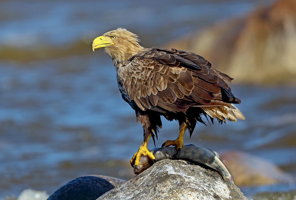 Photograph by Гусар Александр