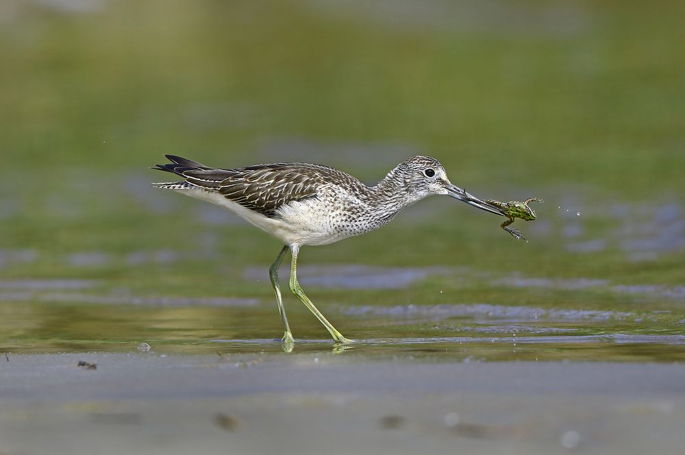 Photograph by Гусар Александр