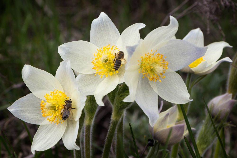 Photograph by виктор ковчин