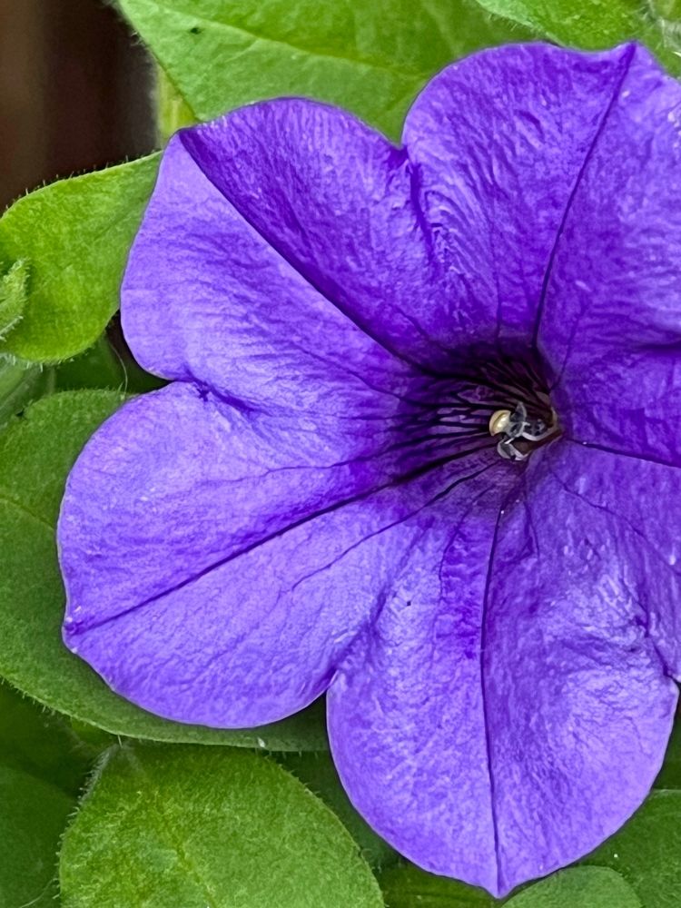 Photograph by Ирина Селиверстова