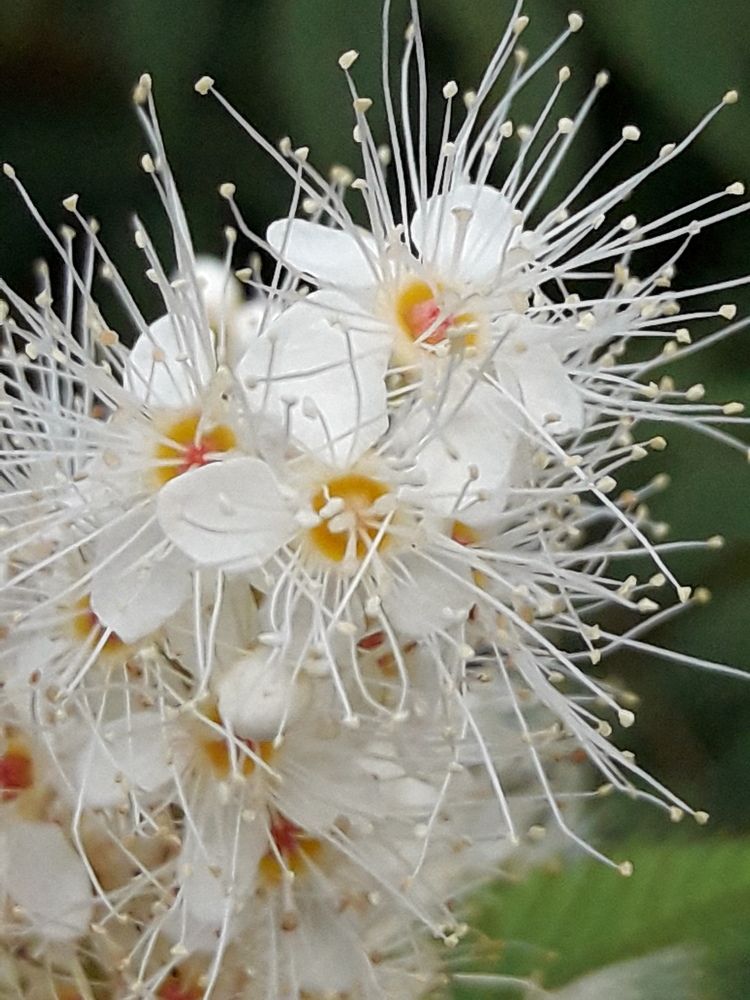 Photograph by Елена Алешкевич