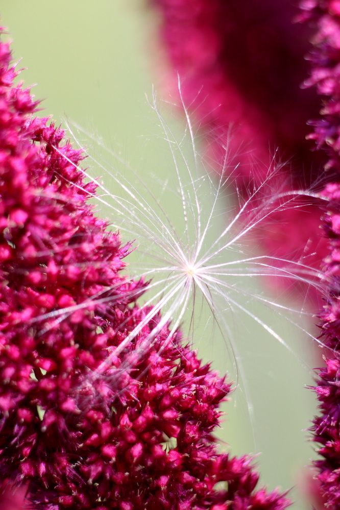 Фотография автора Колосова Елена