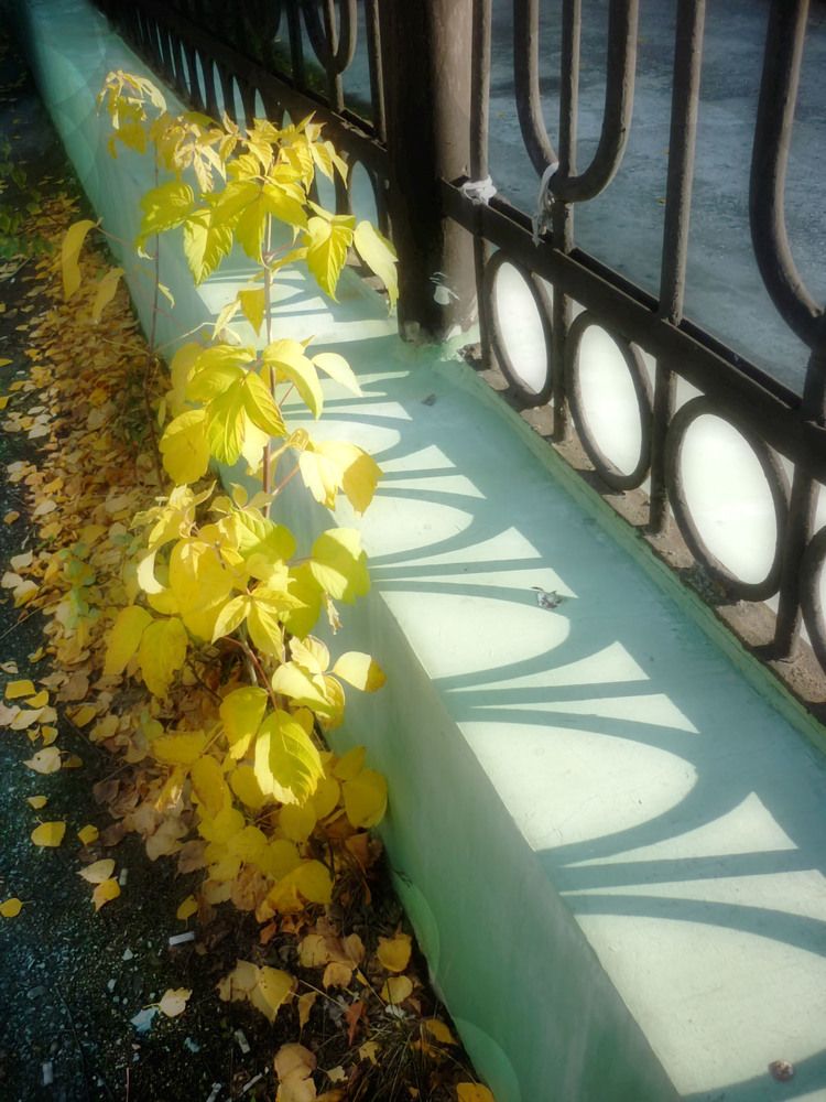 Photograph by Ирина Александрович