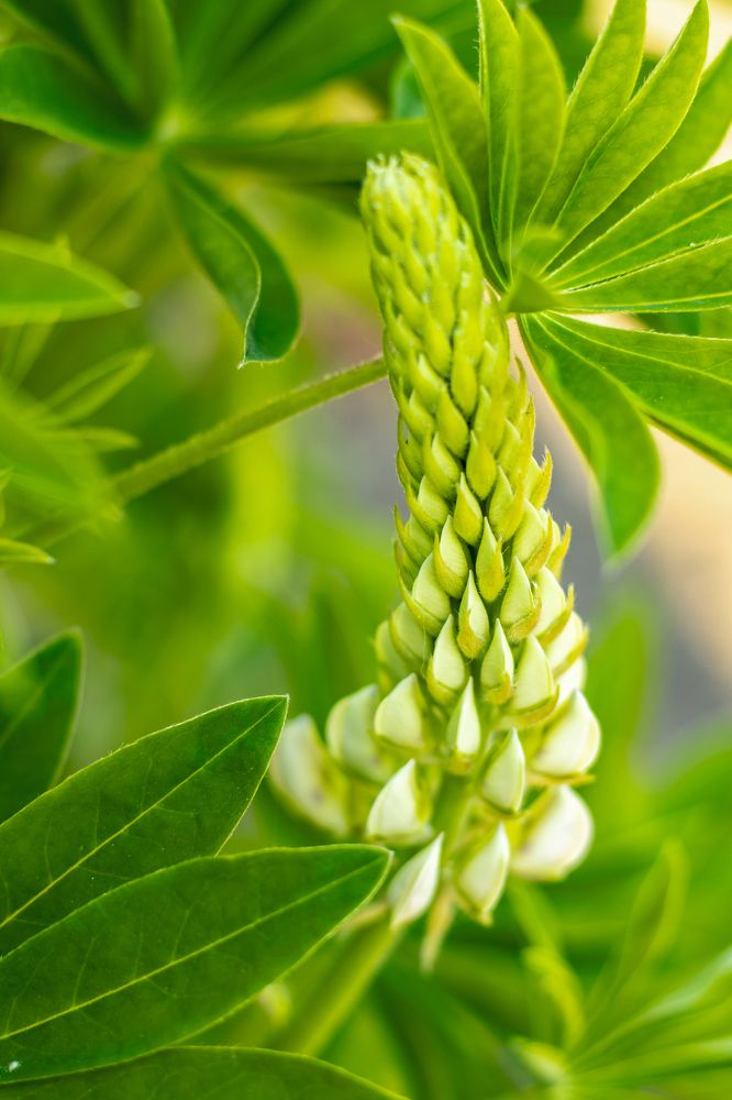 Photograph by Юлия Гольцман