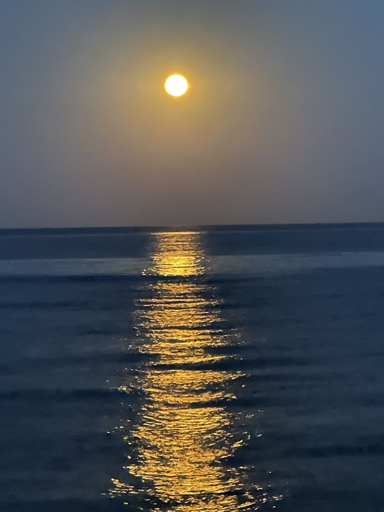 Photograph by Наталья Берон