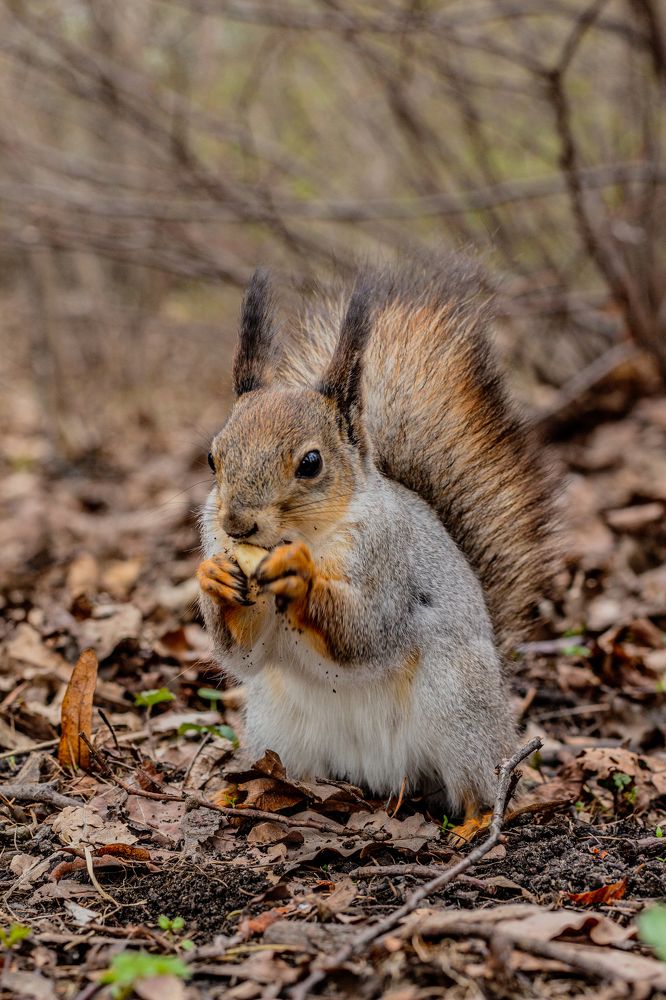 Фотография автора Таисия