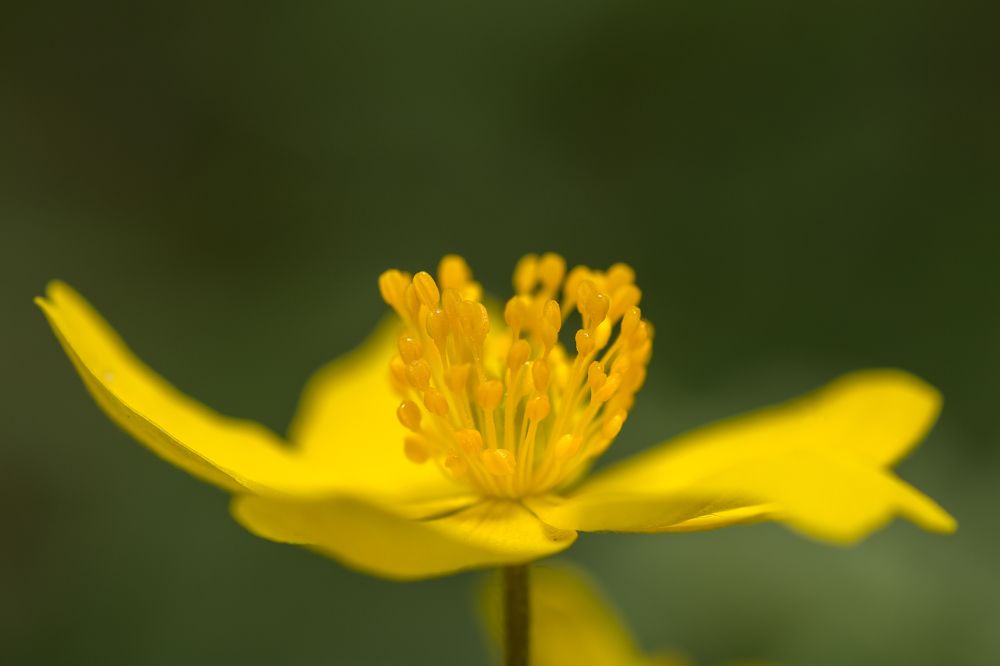 Photograph by Victor Stepanov