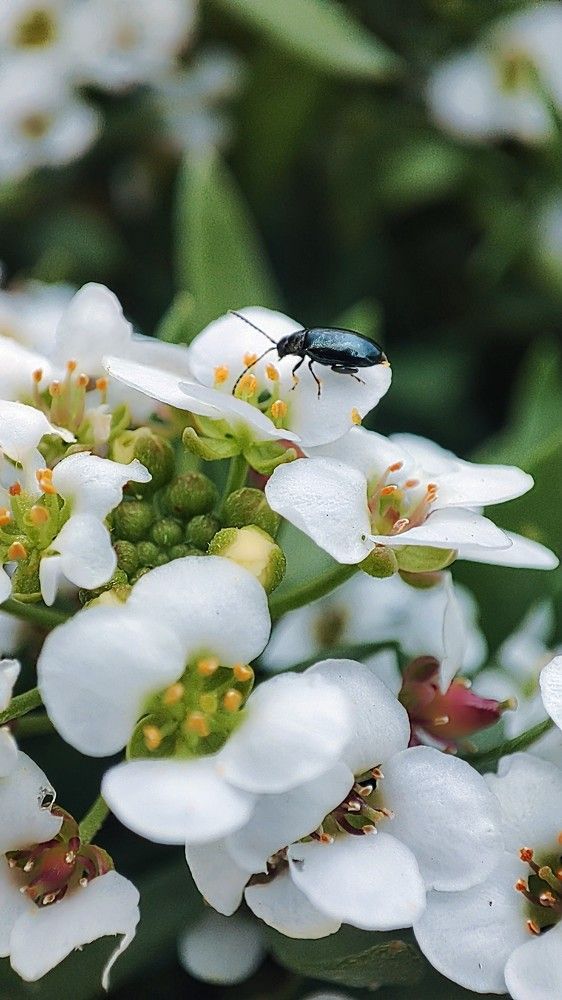 Photograph by Оксана