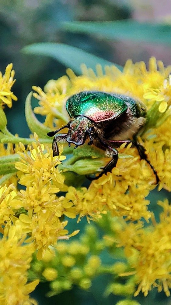 Photograph by Оксана