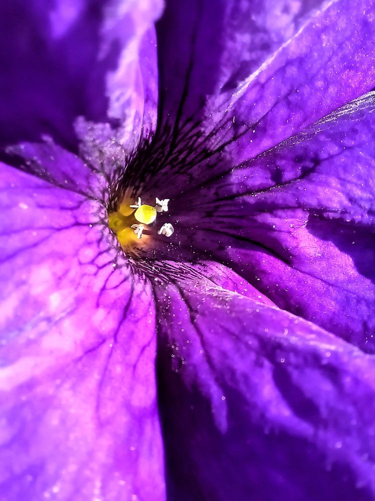 Photograph by Anna Grinkevich