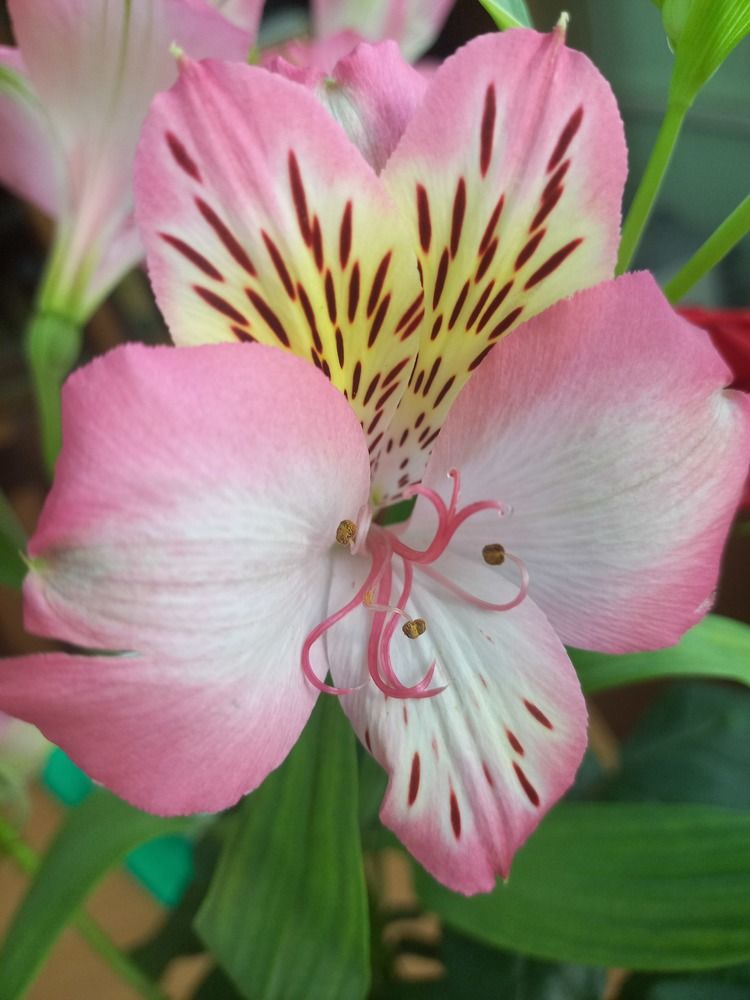 Photograph by Людмила Сотникова