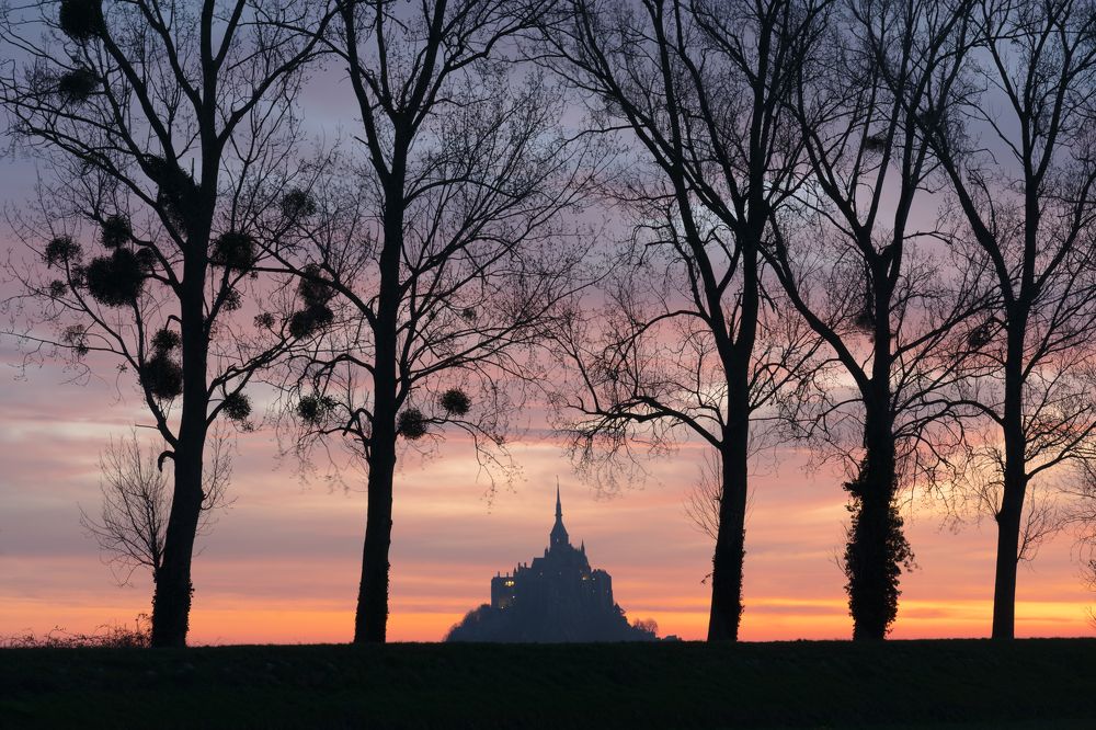 Photograph by Andy Fowlie