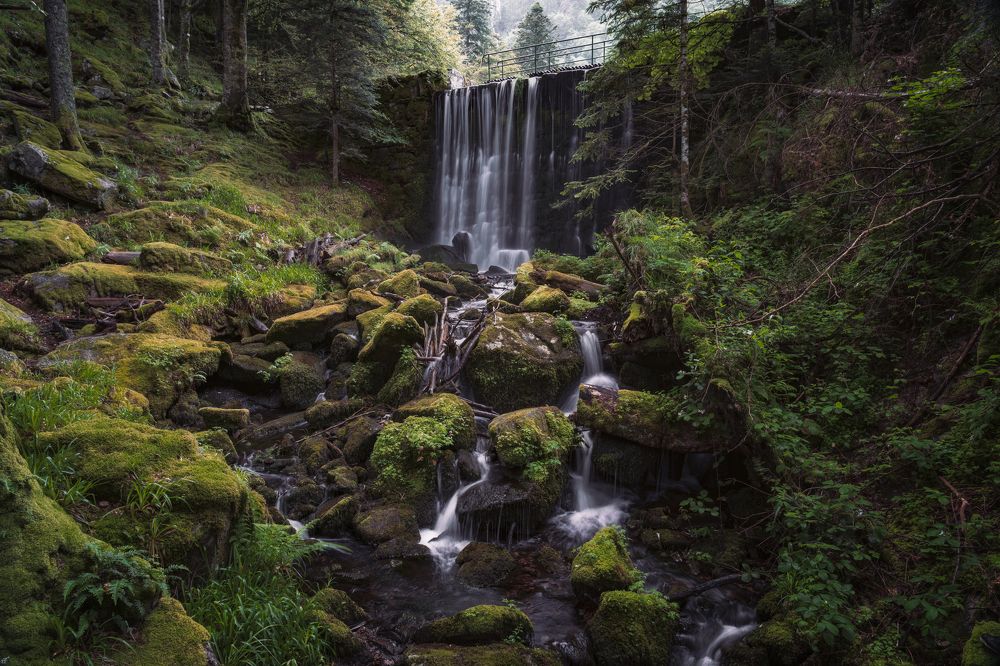 Photograph by Andy Fowlie