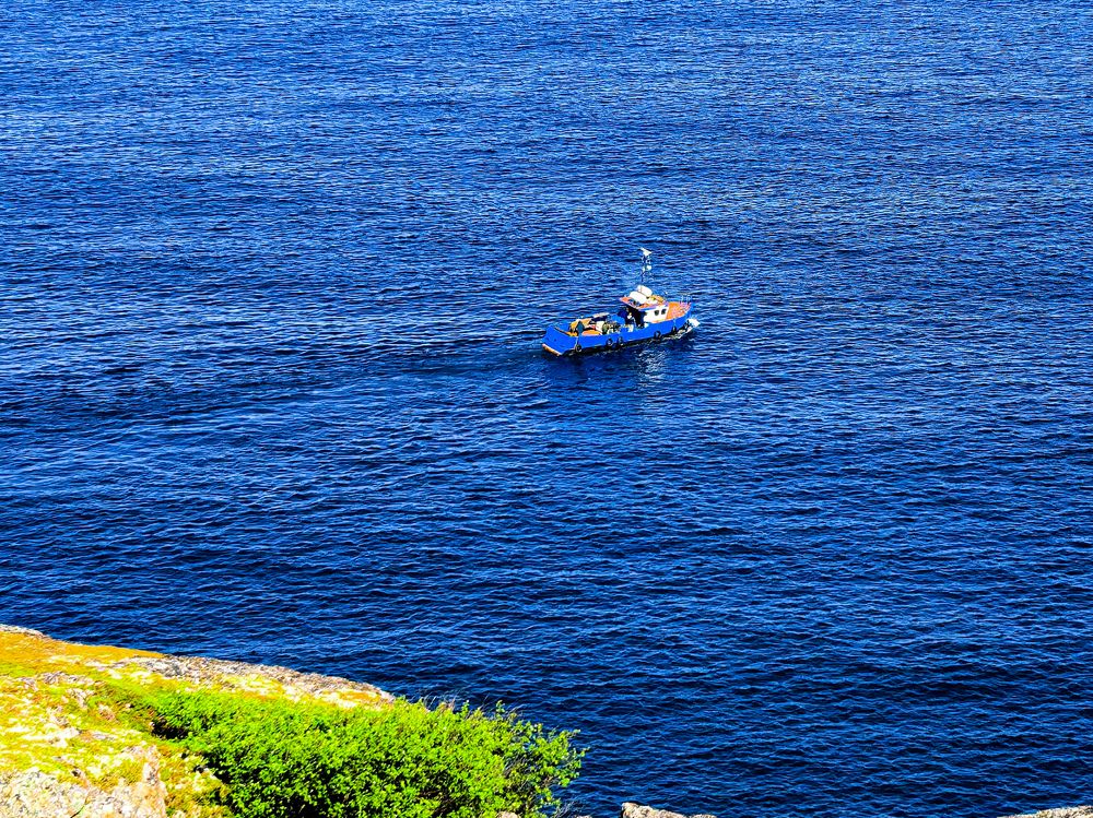 Photograph by Наталья Асоскова