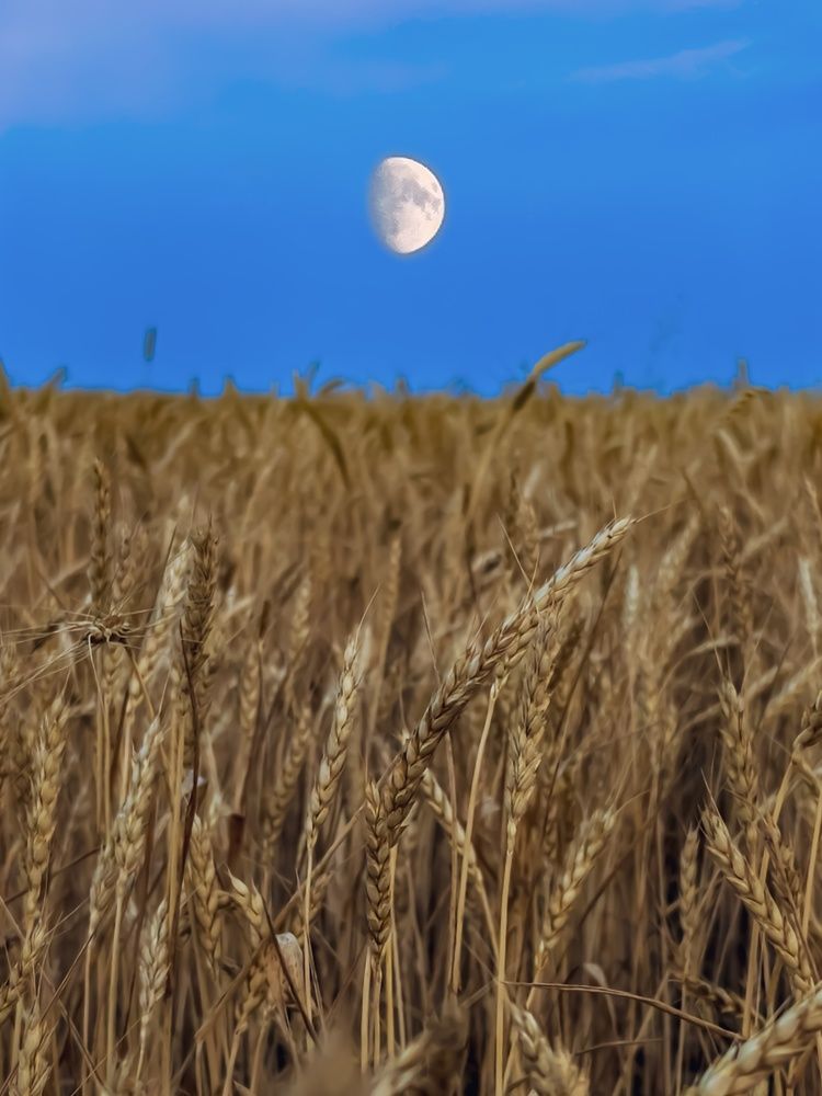 Photograph by Наталья Асоскова