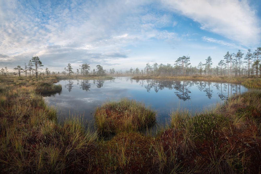 Photograph by Арсений Кашкаров