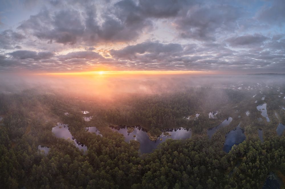 Photograph by Арсений Кашкаров