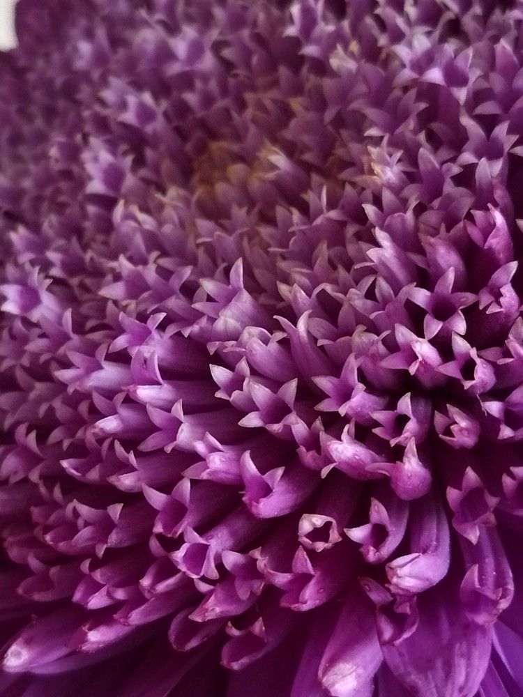 Photograph by Людмила Баглей