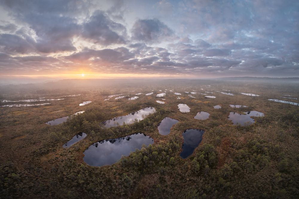 Photograph by Арсений Кашкаров