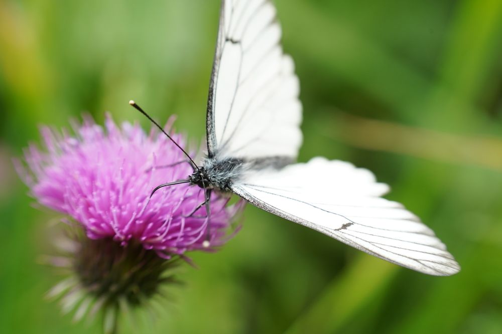 Фотография автора Иннокентий Рябчиков
