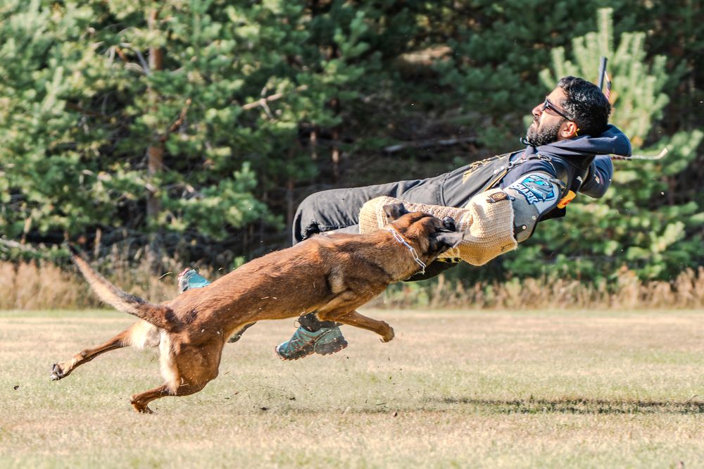 Photograph by Сергей Жиркевич