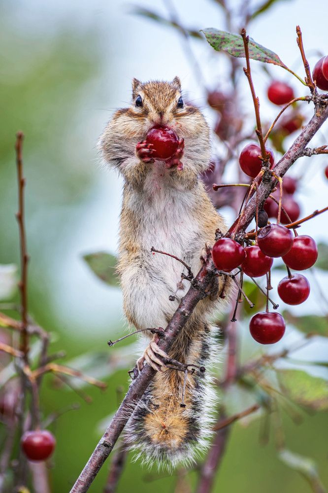 Photograph by Толян Бууулочкин