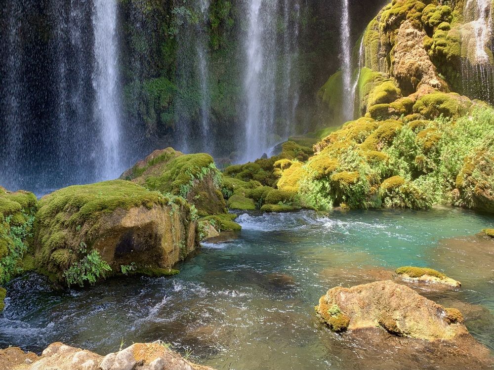 Мхи у водопада