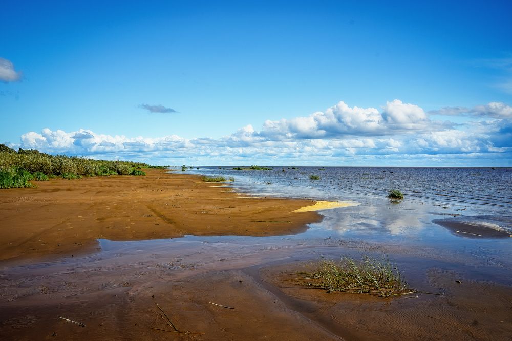 Фотография автора Светлана Разумовская
