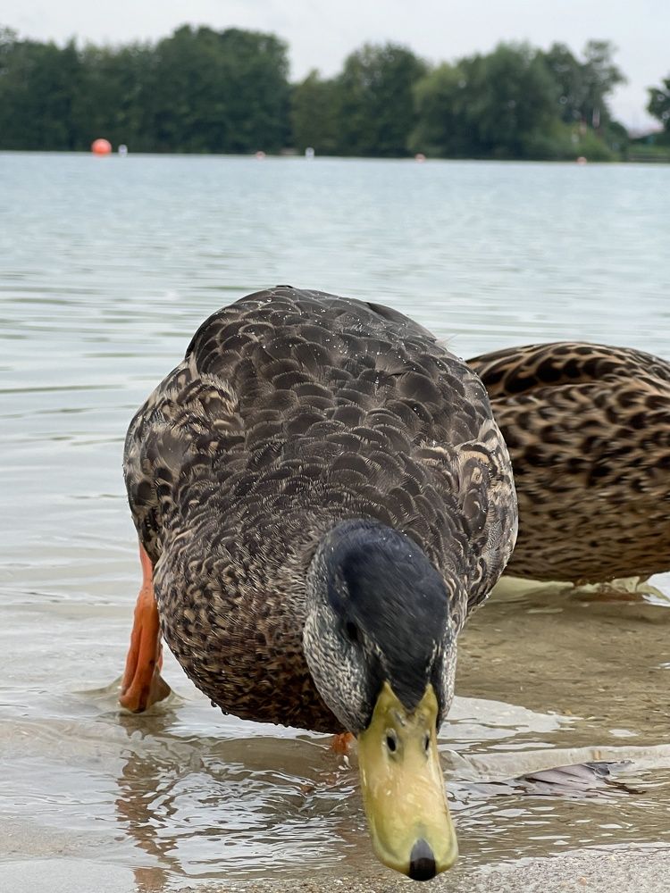 Photograph by Eugenia Schmidt