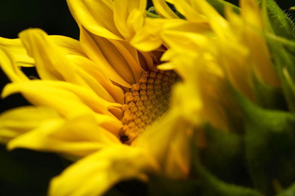 Photograph by Руфат Лажанский