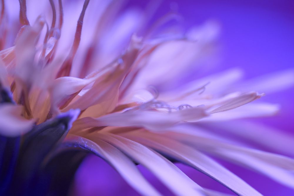 Photograph by Руфат Лажанский