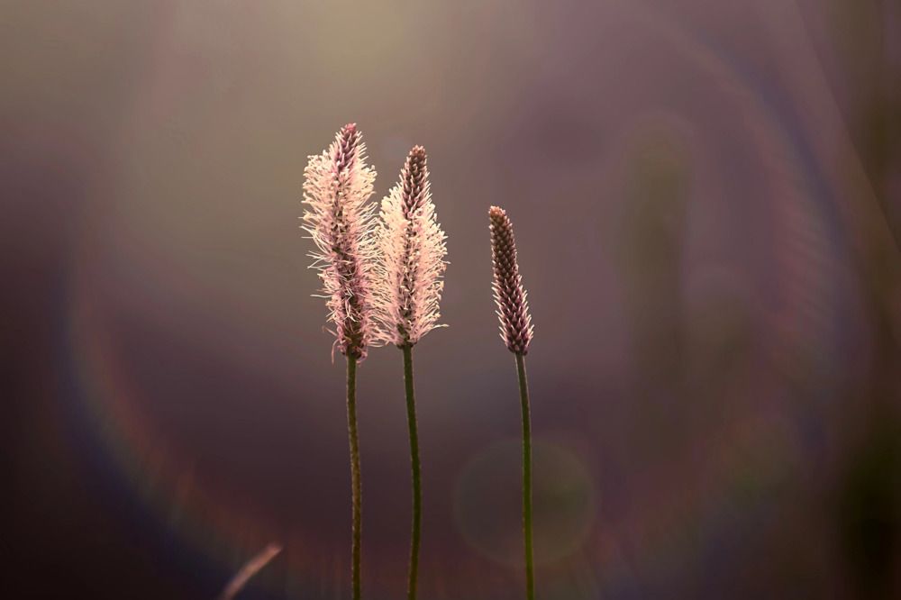 Photograph by Александр Вольхин
