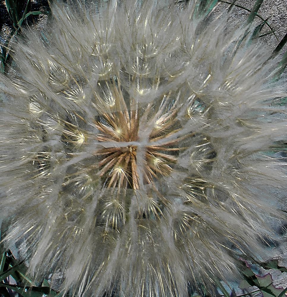 Photograph by Наталья Трофимова