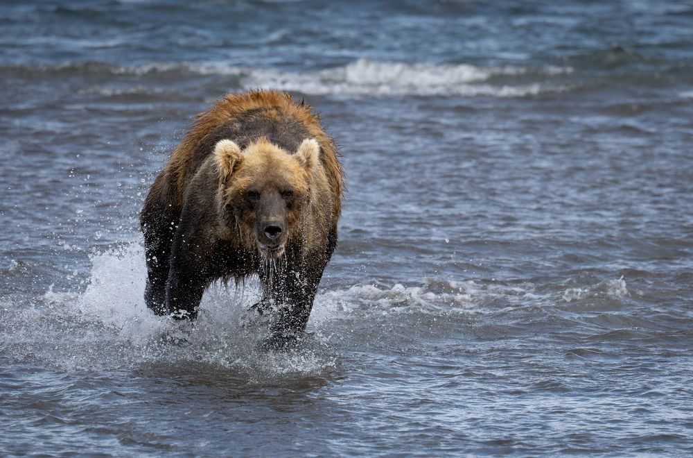 Photograph by Галина Павлова