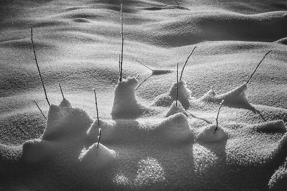 Рисуют тень на снегу