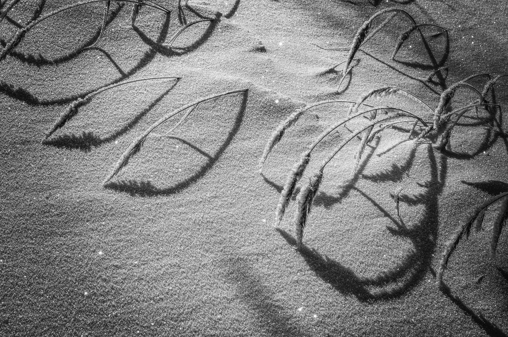 Зимние тени