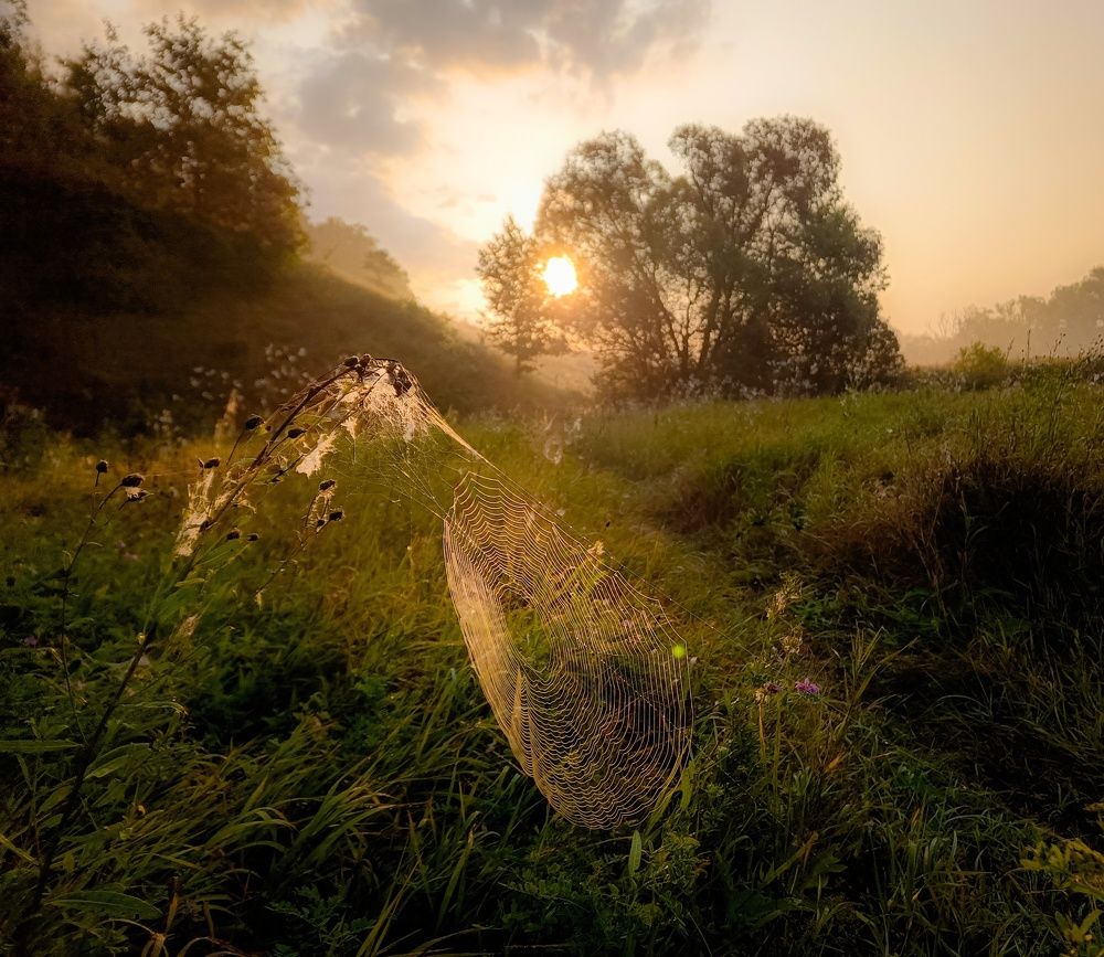 Photograph by Кондрашова Светлана