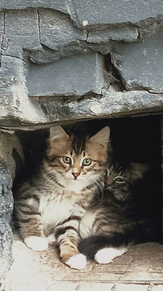 Photograph by Елена Глухарева